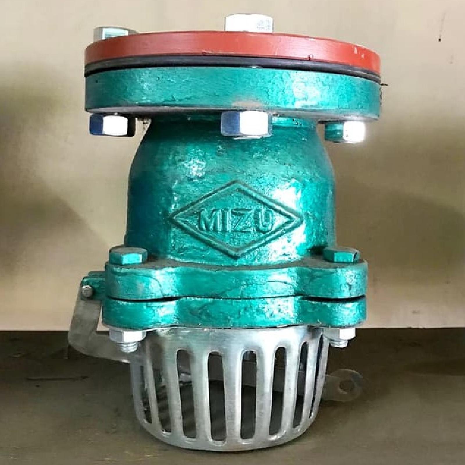 Foot Valve
