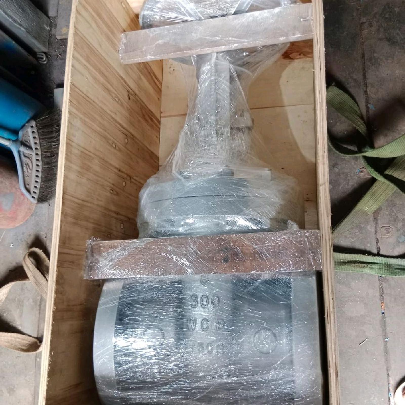 Globe Valve