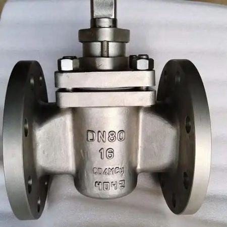 Plug Valve